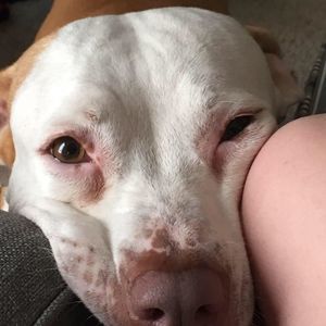 Meet your Posher, Isabella